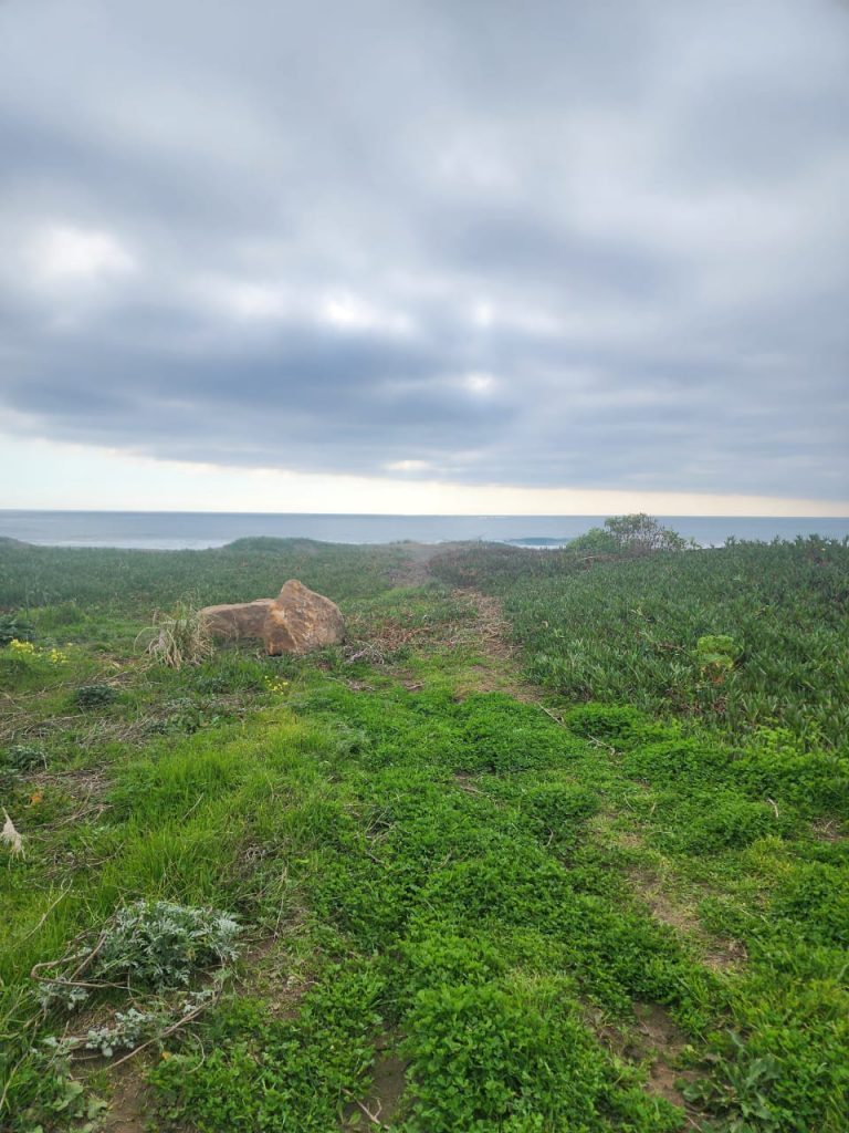 Terreno en venta en Pichilemu — foto 3