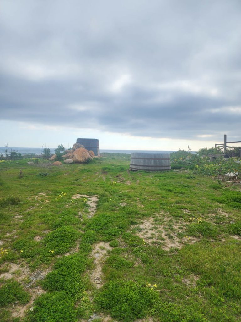 Terreno en venta en Pichilemu — foto 4
