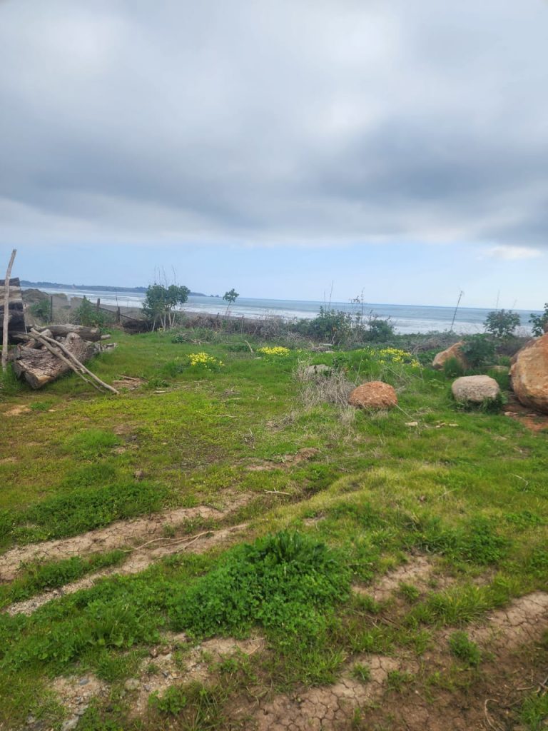 Terreno en venta en Pichilemu — foto 9