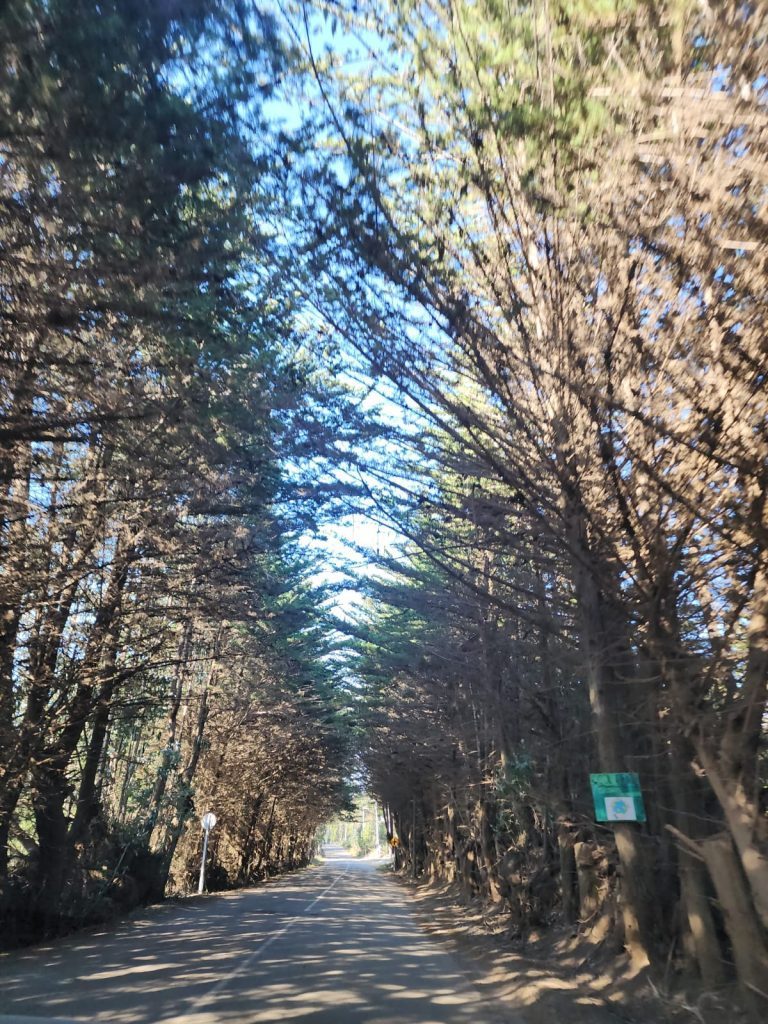 Terreno en venta en Pichilemu — foto 2