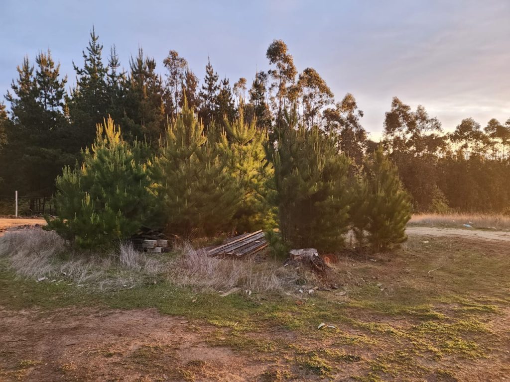 Terreno en venta en Pichilemu — foto 6