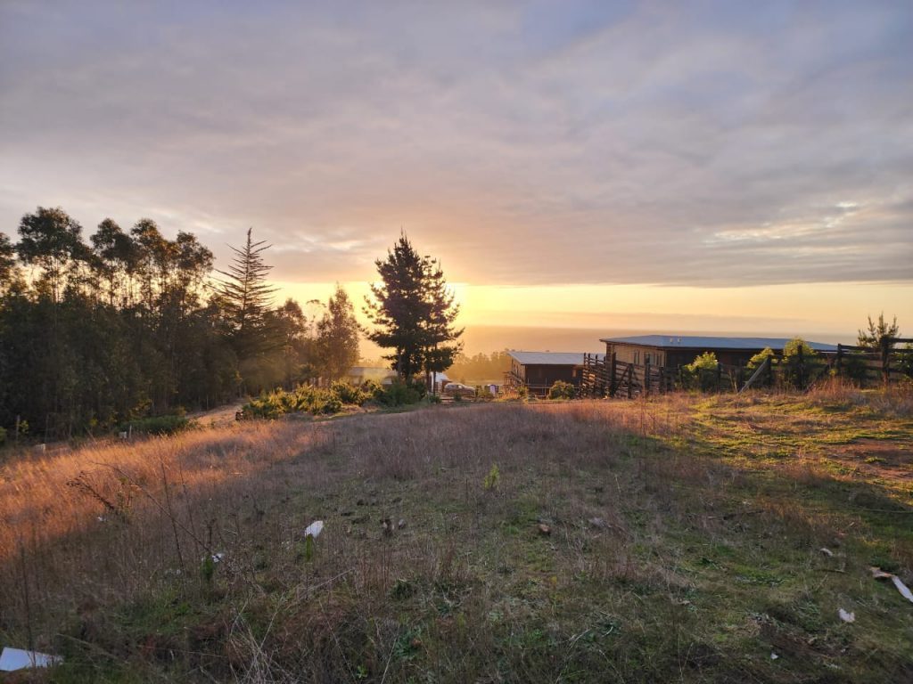 Terreno en venta en Pichilemu — foto 7