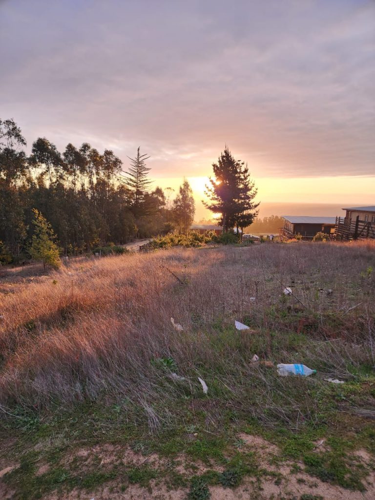 Terreno en venta en Pichilemu — foto 8