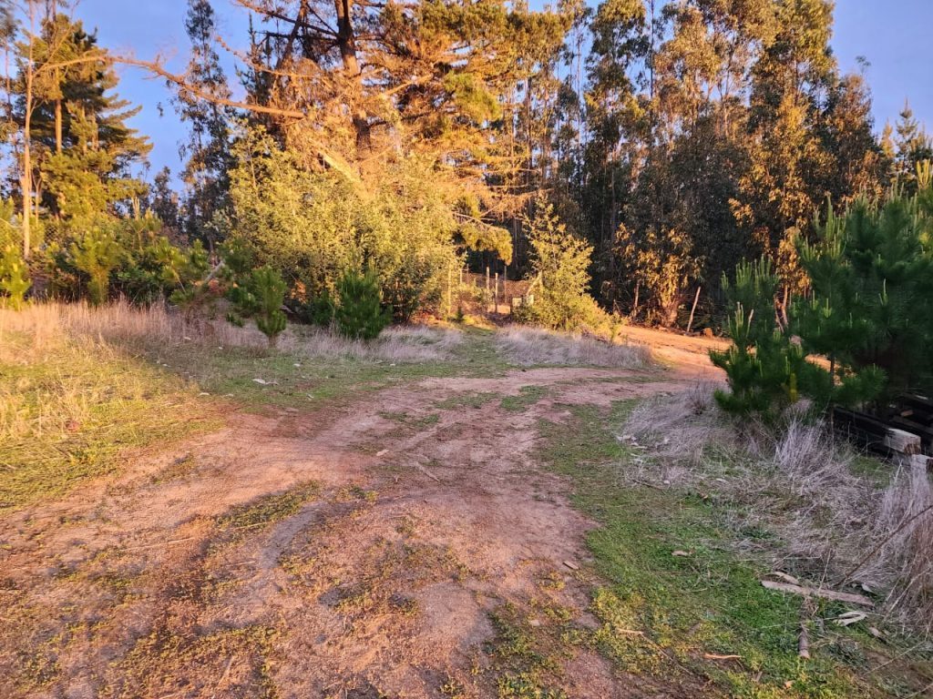 Terreno en venta en Pichilemu — foto 9