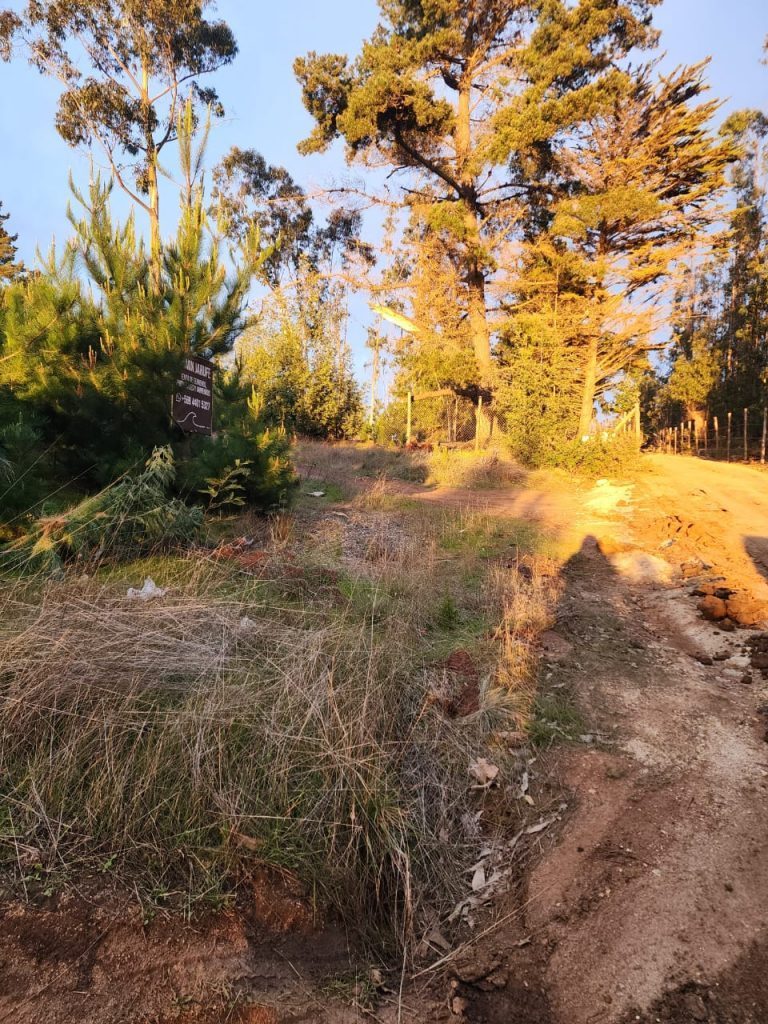 Terreno en venta en Pichilemu — foto 10