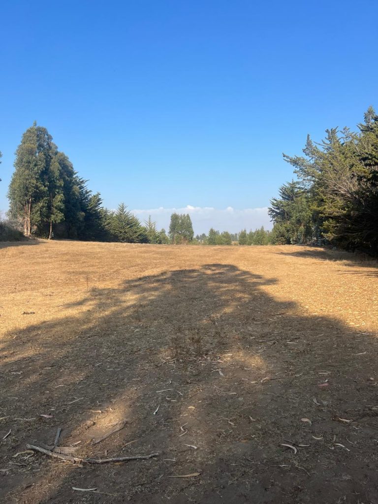 Terreno en venta en Pichilemu — foto 3