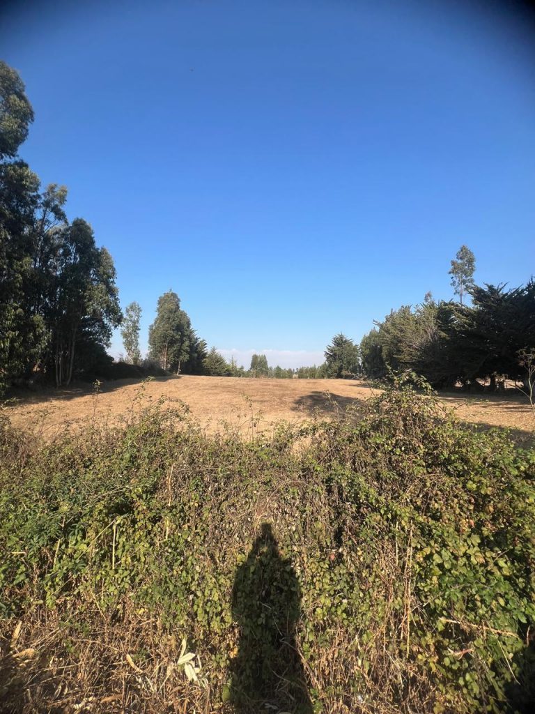 Terreno en venta en Pichilemu — foto 9
