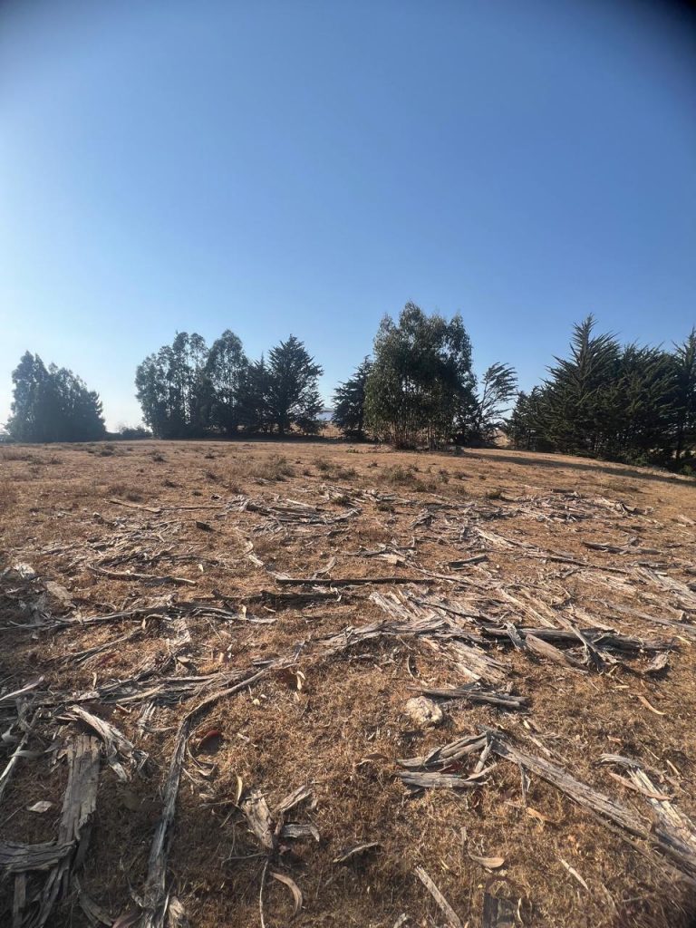 Terreno en venta en Pichilemu — foto 10