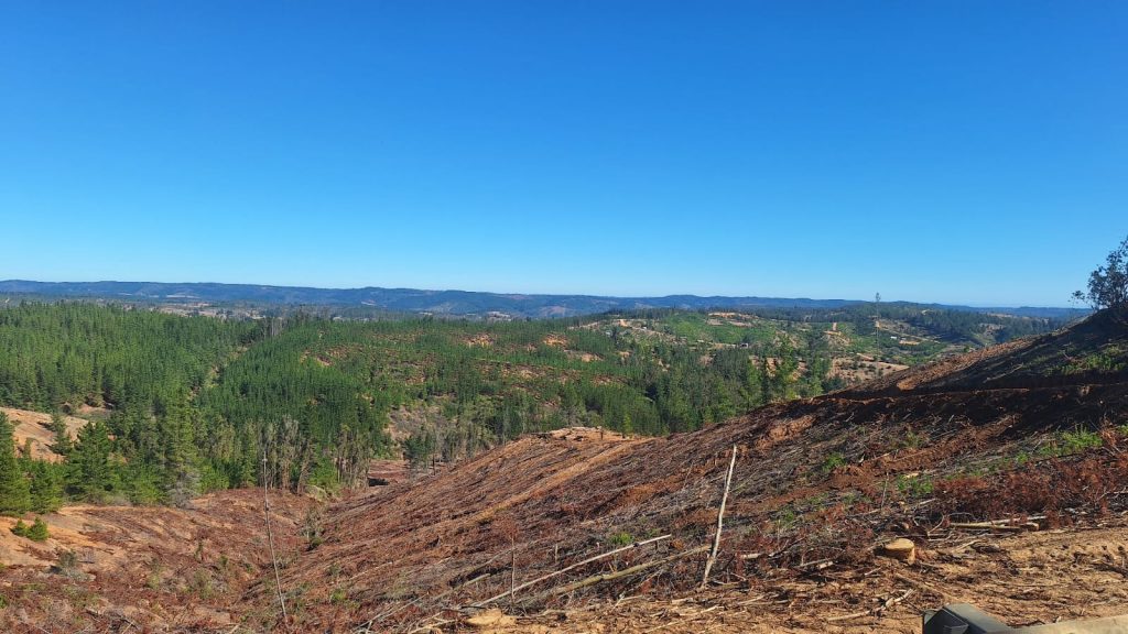 Terreno en venta en Paredones — foto 4