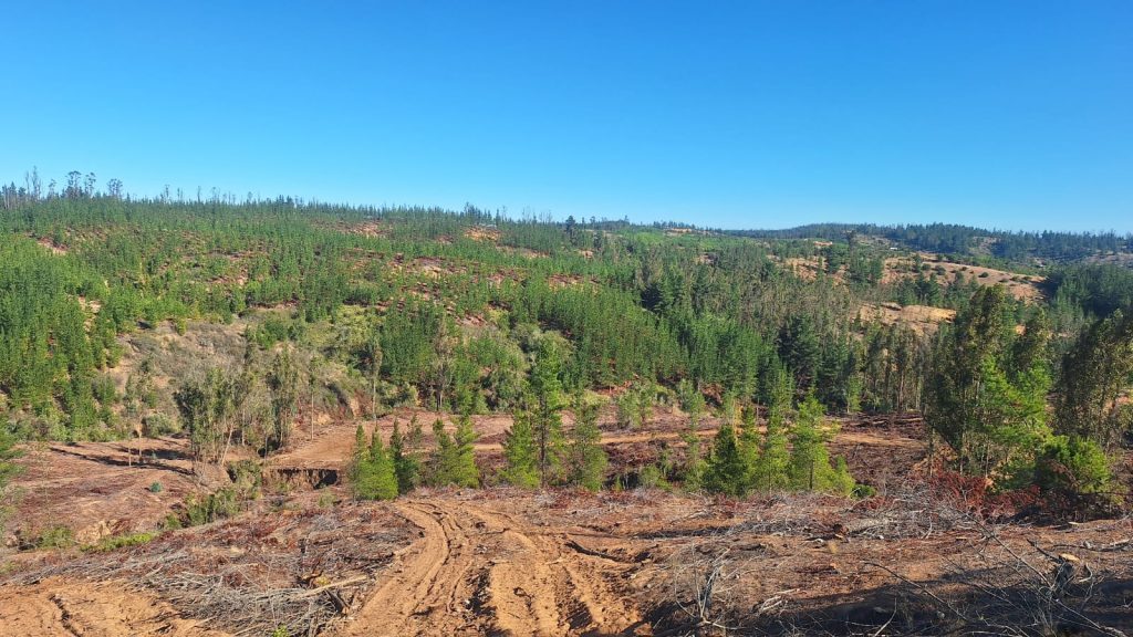 Terreno en venta en Paredones — foto 5