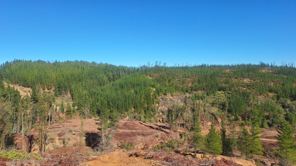 Terreno en venta en Paredones — foto 6