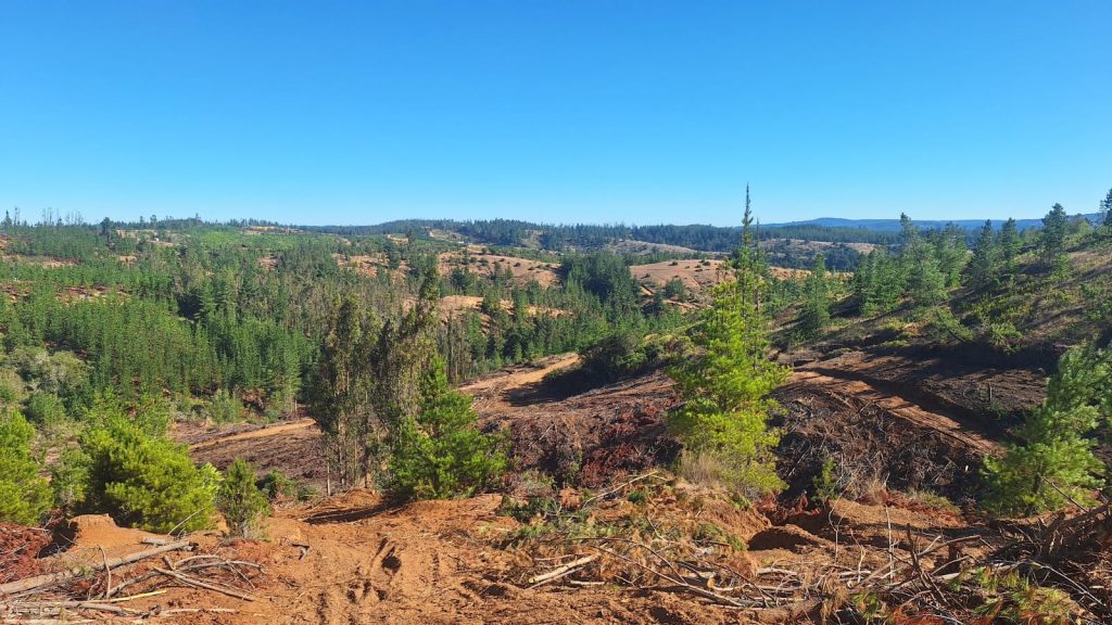 Terreno en venta en Paredones — foto 7
