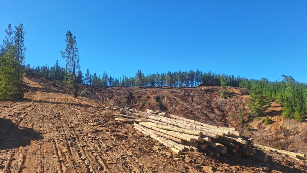 Terreno en venta en Paredones — foto 8