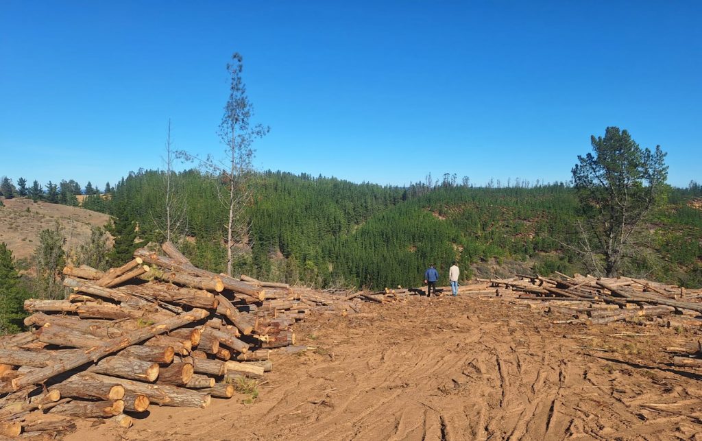 Terreno en venta en Paredones — foto 9