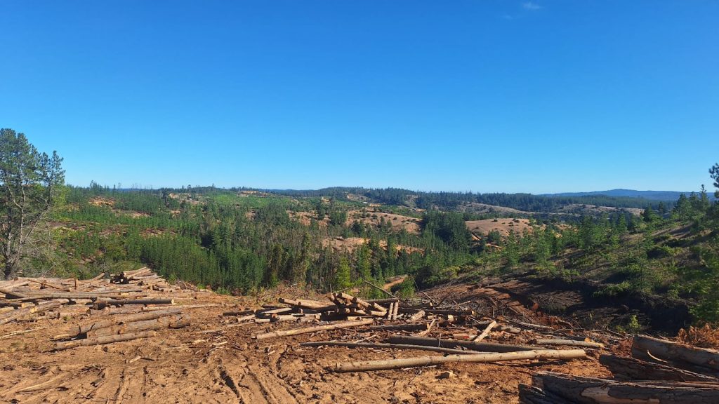 Terreno en venta en Paredones — foto 10
