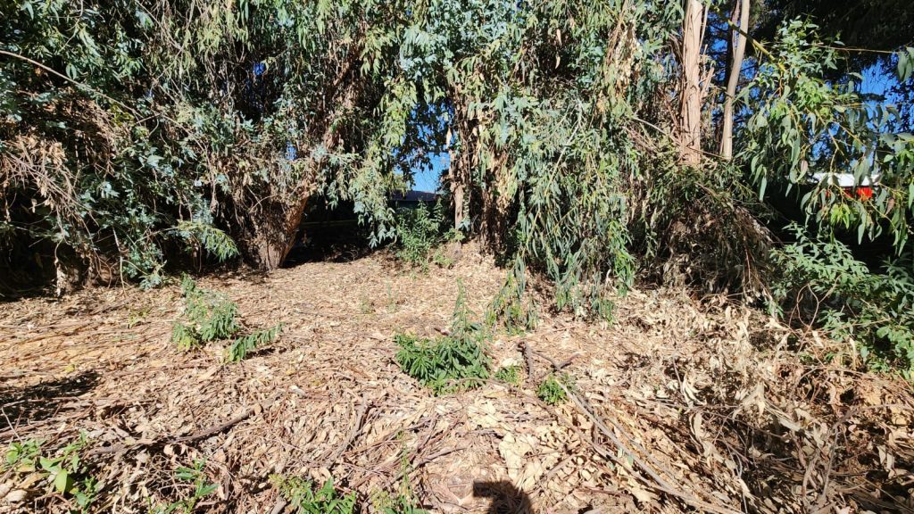 Terreno en venta en Machalí — foto 8