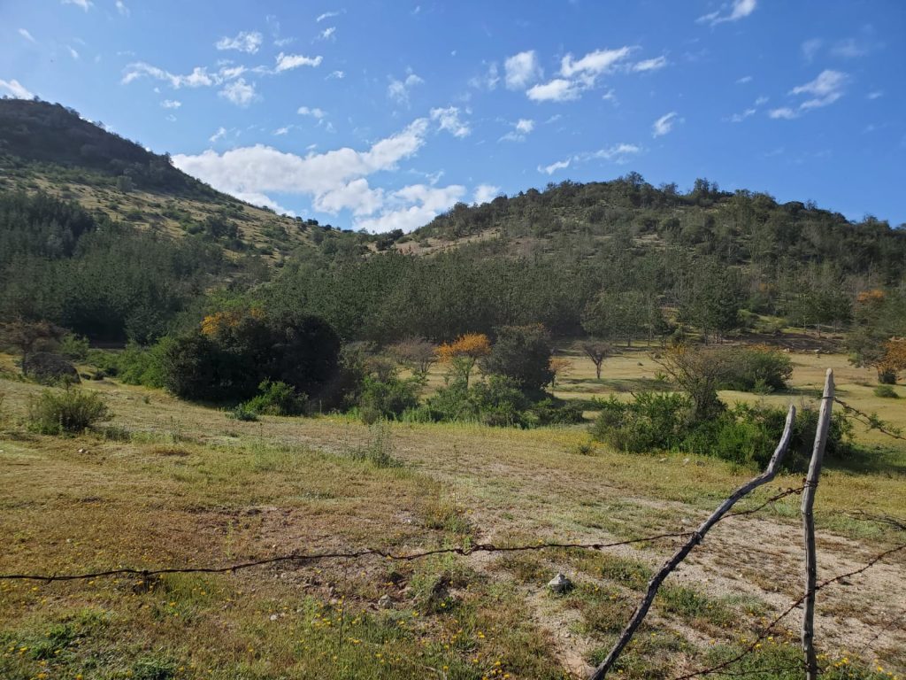 Terreno en venta en Lolol — foto 3