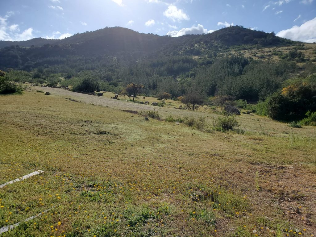 Terreno en venta en Lolol — foto 5