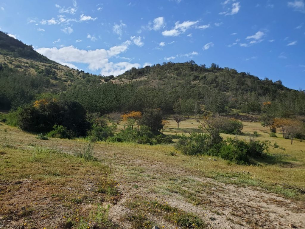 Terreno en venta en Lolol — foto 6