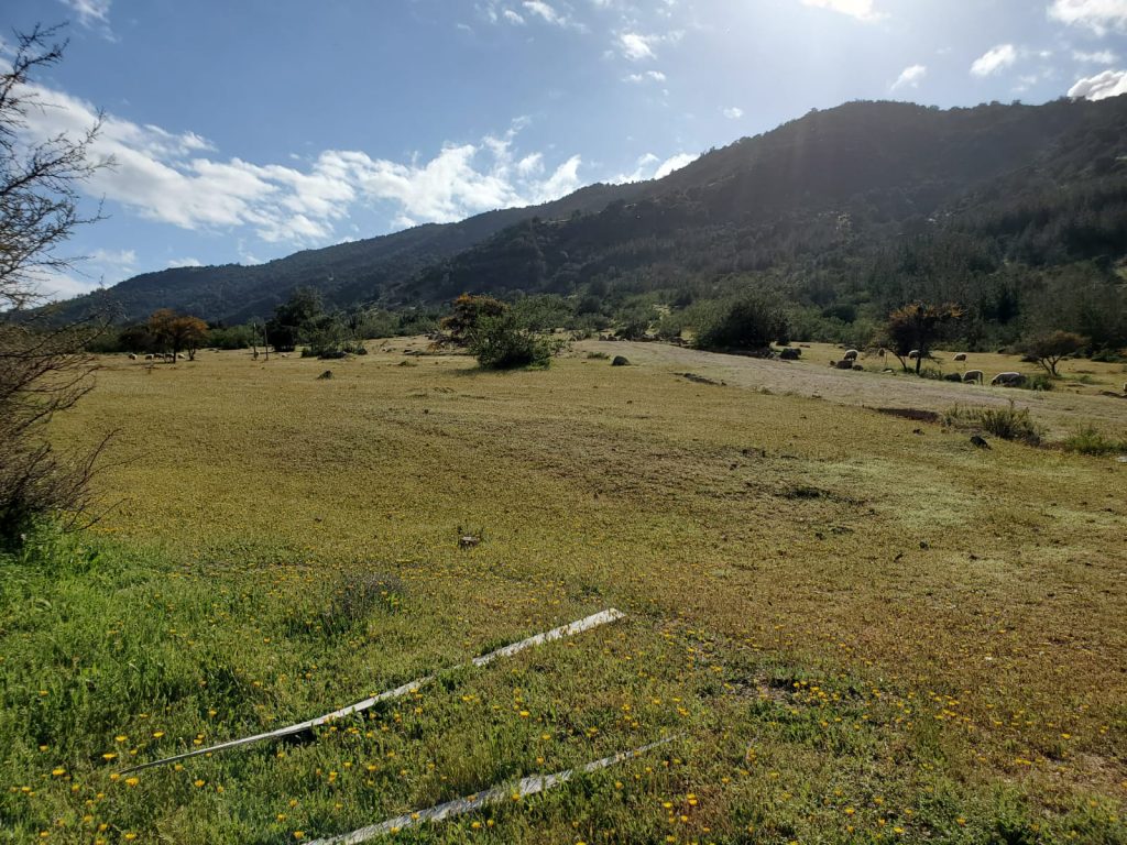 Terreno en venta en Lolol — foto 7