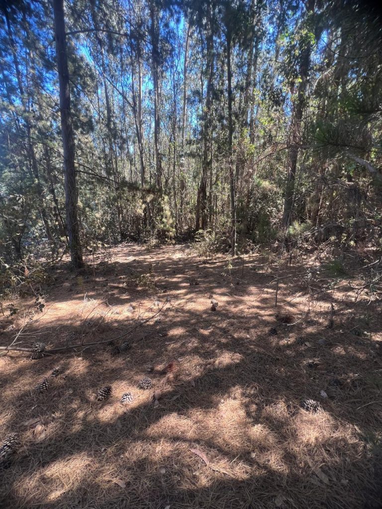 Terreno en venta en Puertecillo — foto 3