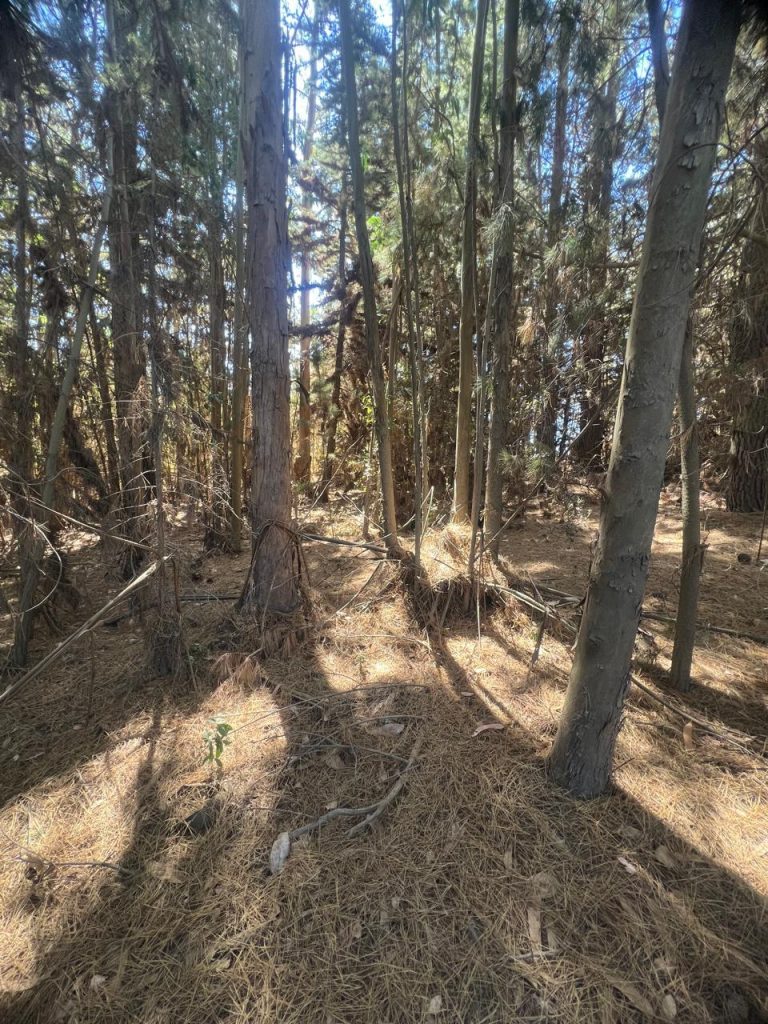Terreno en venta en Puertecillo — foto 4