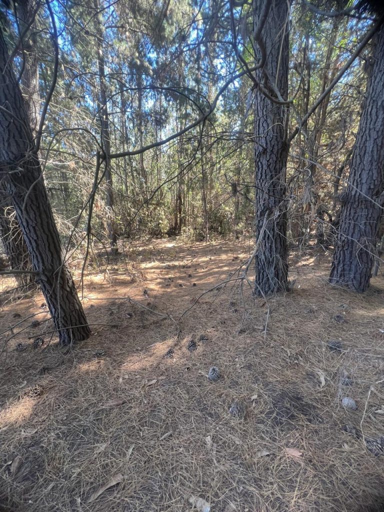 Terreno en venta en Puertecillo — foto 5