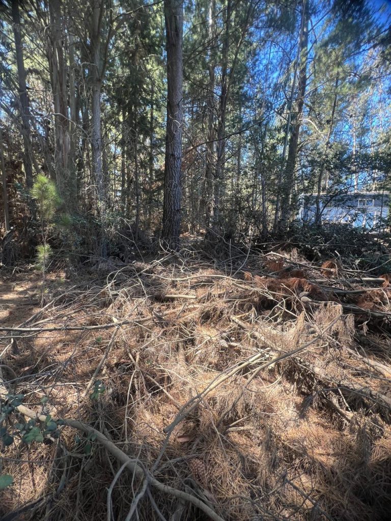Terreno en venta en Puertecillo — foto 6
