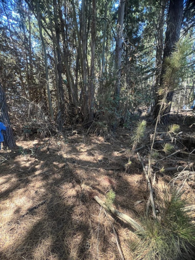 Terreno en venta en Puertecillo — foto 7