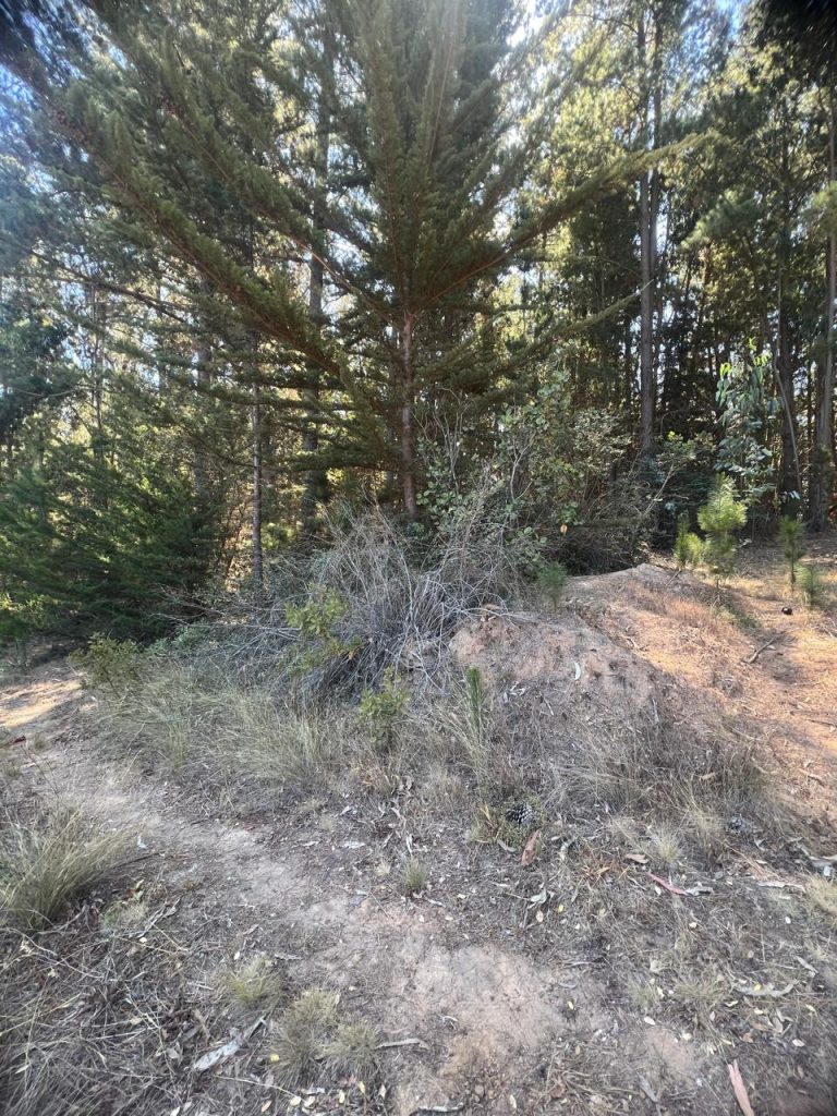 Terreno en venta en Puertecillo — foto 8