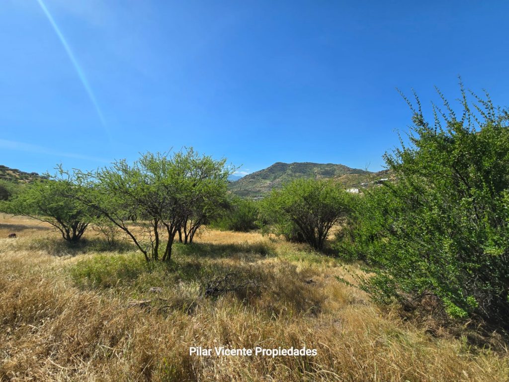 Terreno en venta en Coínco — foto 8