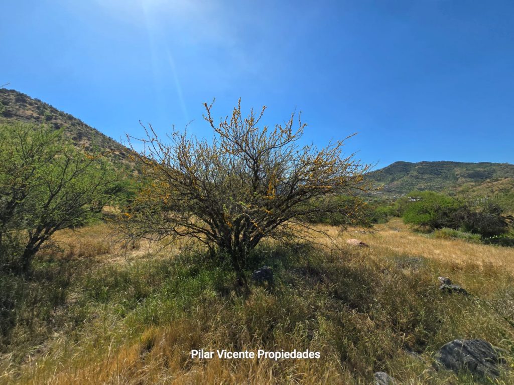 Terreno en venta en Coínco — foto 9