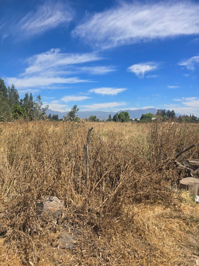 Terreno en venta en Machalí — foto 2
