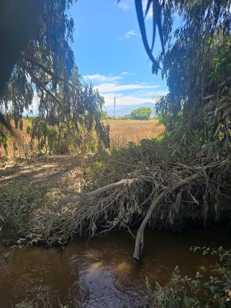 Terreno en venta en Machalí — foto 3