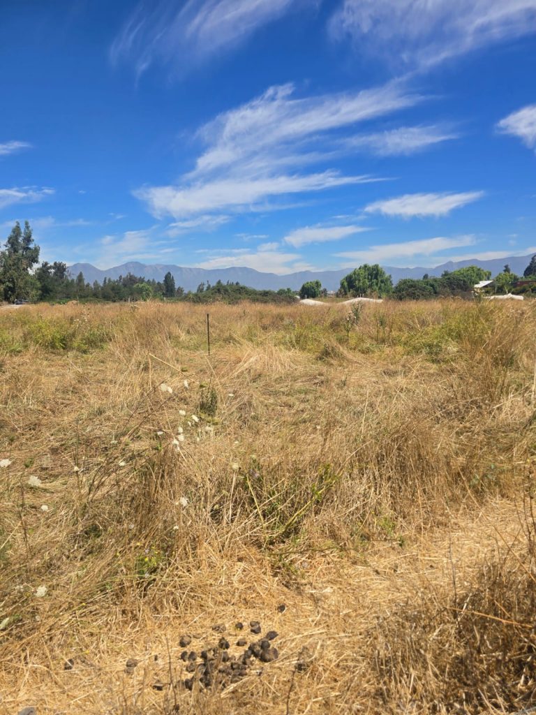 Terreno en venta en Machalí — foto 5