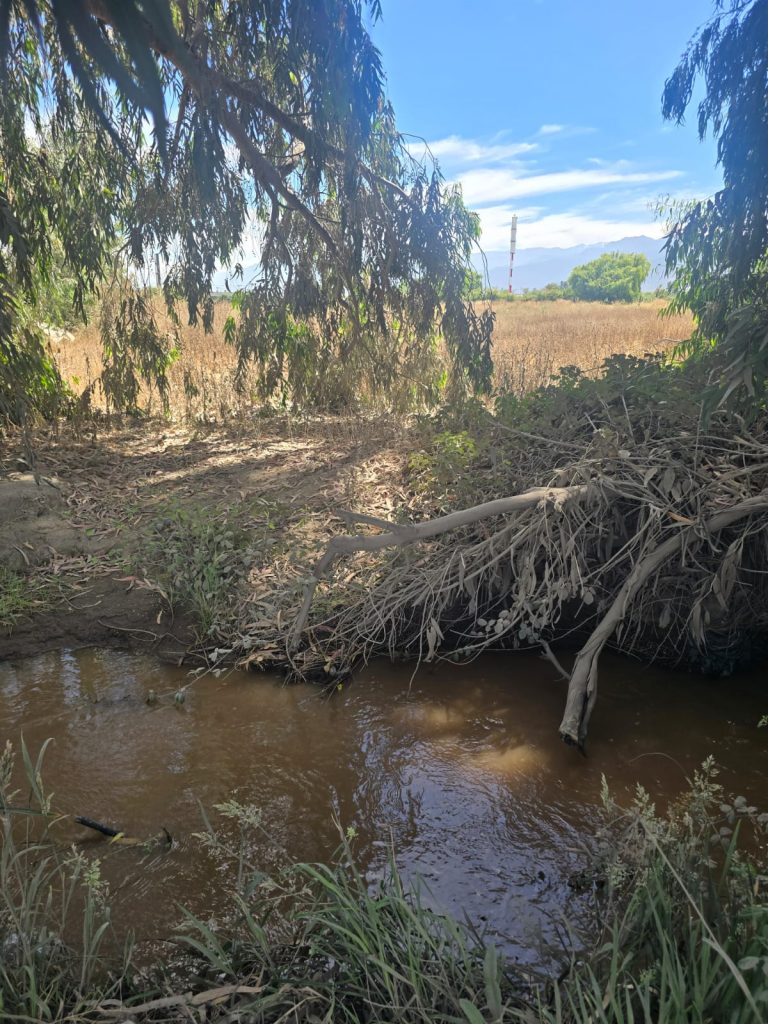 Terreno en venta en Machalí — foto 6