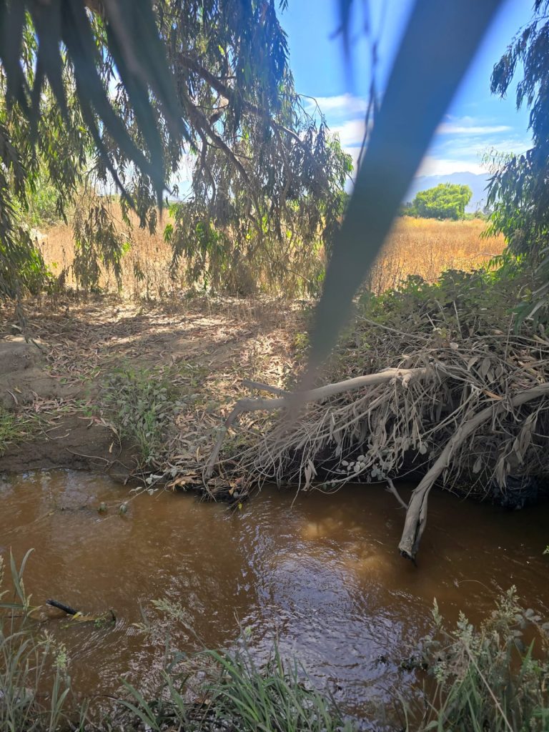 Terreno en venta en Machalí — foto 9
