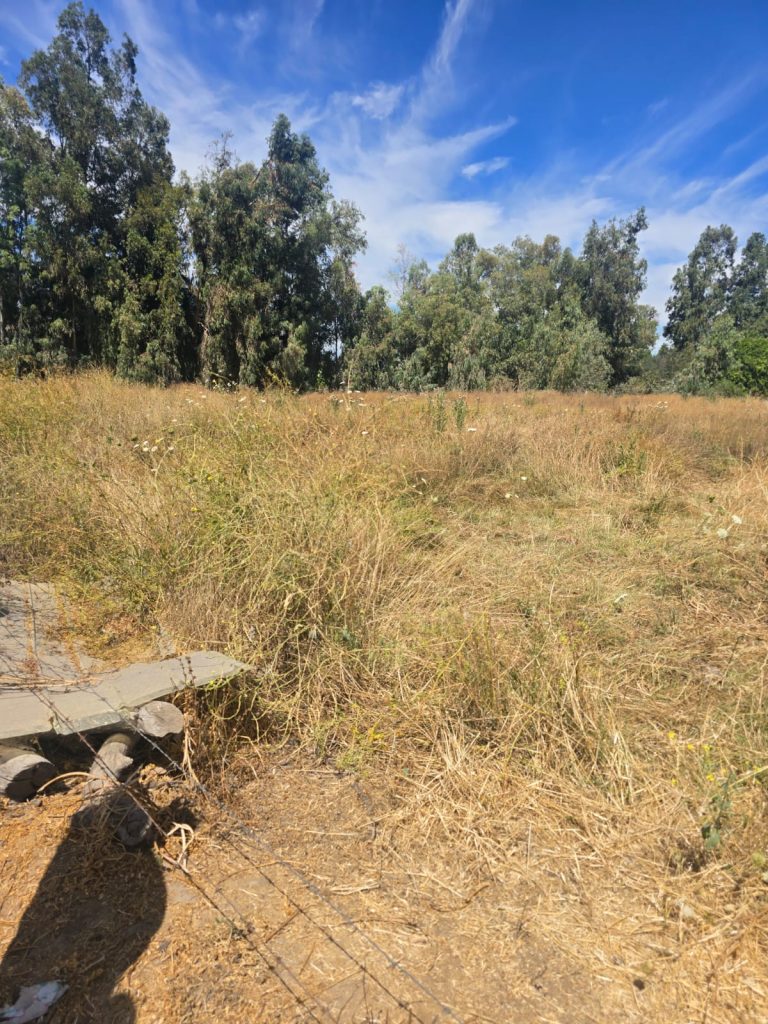 Terreno en venta en Machalí — foto 10