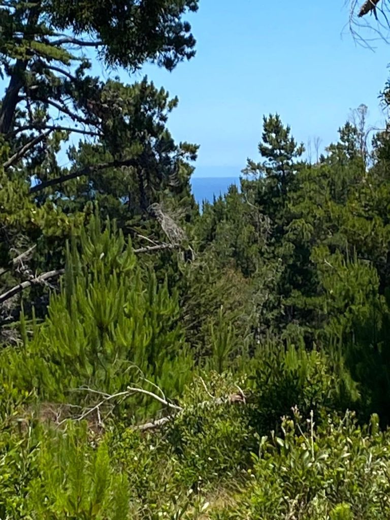 Terreno en venta en Pichilemu — foto 4