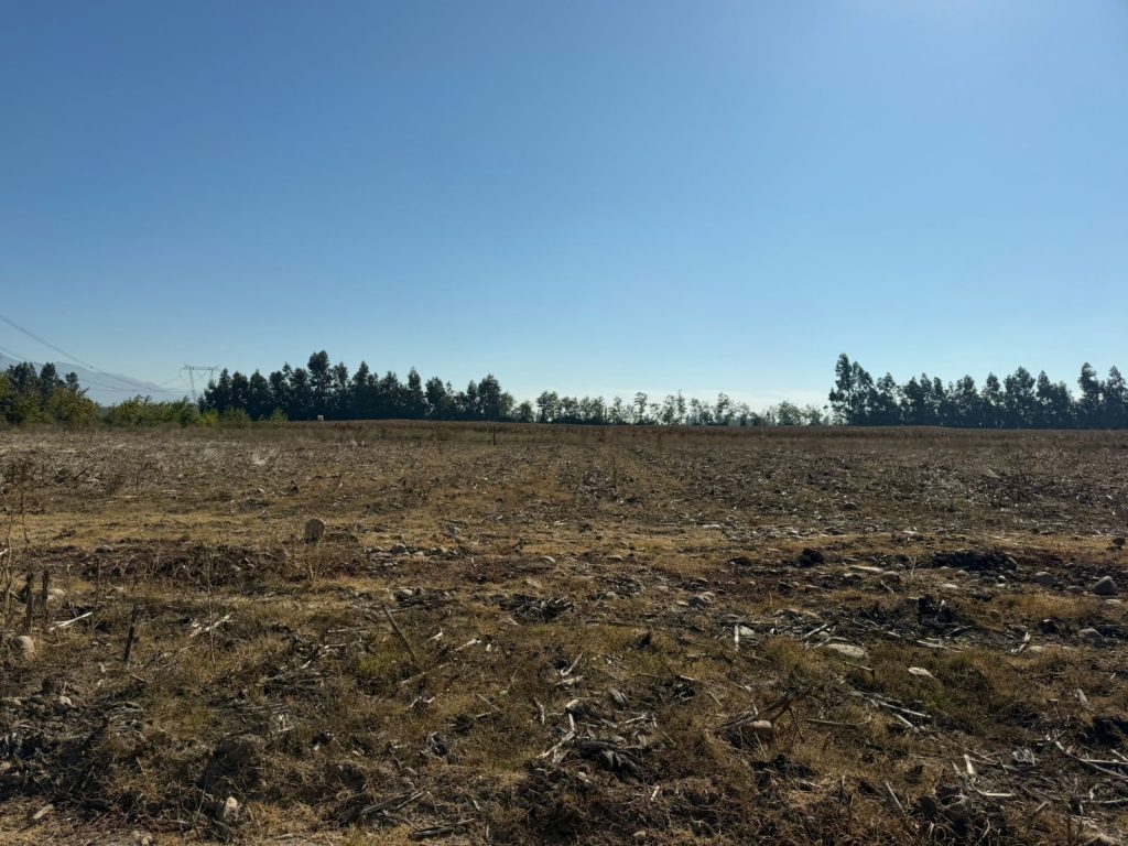 Terreno en venta en Requínoa — foto 6