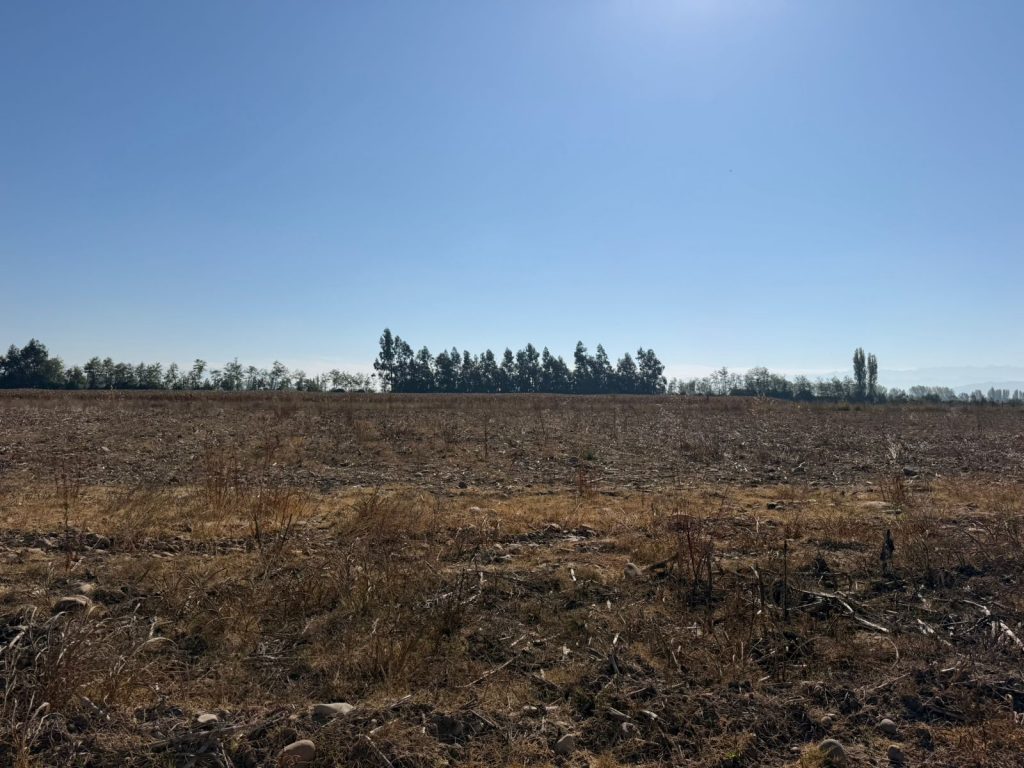Terreno en venta en Requínoa — foto 9