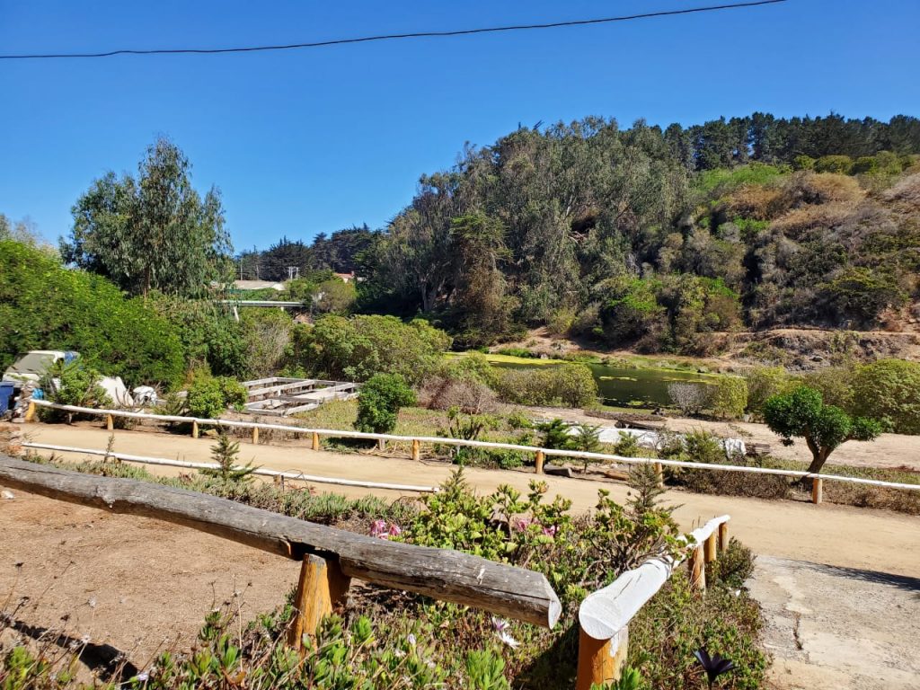 Casa en venta en El Tabo — foto 7