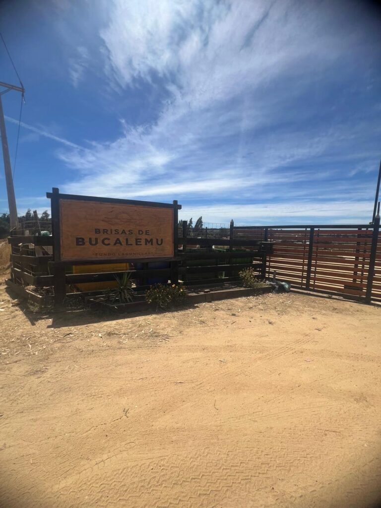 Terreno en venta en Bucalemu — foto 2