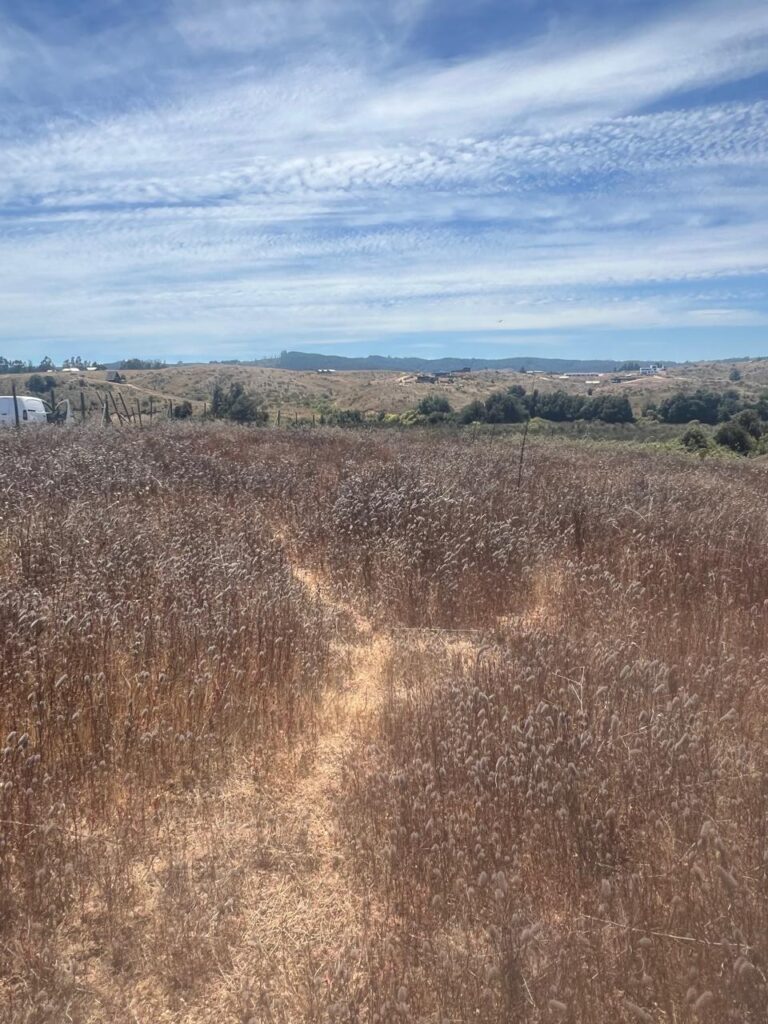 Terreno en venta en Bucalemu — foto 3