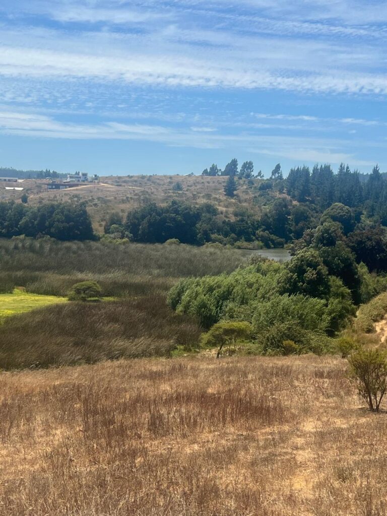 Terreno en venta en Bucalemu — foto 5