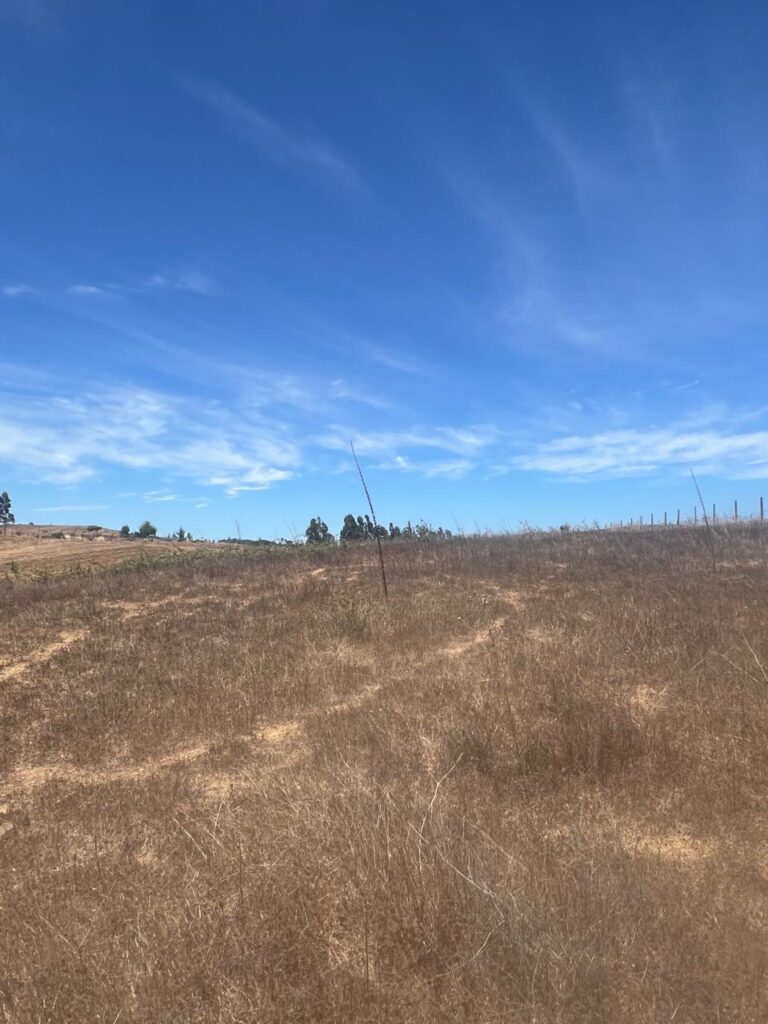 Terreno en venta en Bucalemu — foto 7