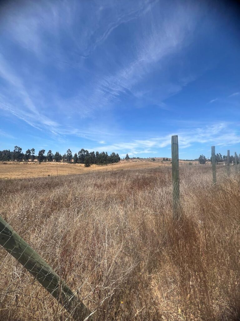 Terreno en venta en Bucalemu — foto 9