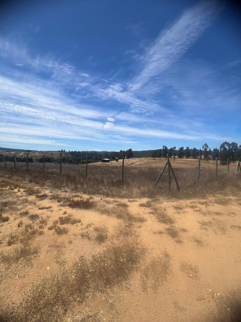 Terreno en venta en Bucalemu — foto 10