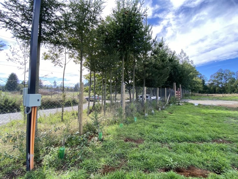 Casa en venta en Villarrica — foto 8