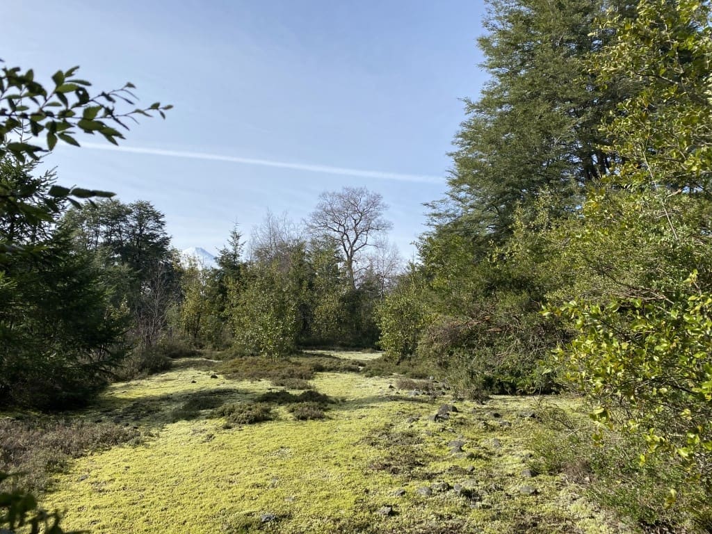 Parcela en venta en Villarrica — foto 1